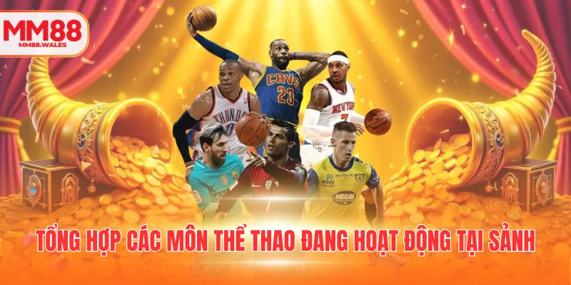 Tổng hợp các môn thể thao đang hoạt động tại sảnh