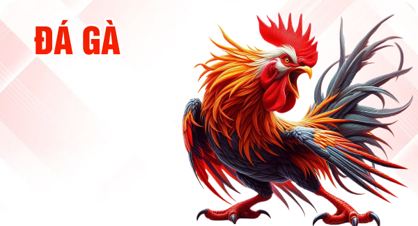 đà gà mm88