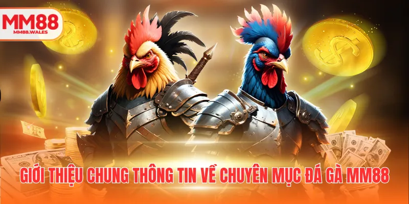 Giới thiệu chung thông tin về chuyên mục đá gà MM88