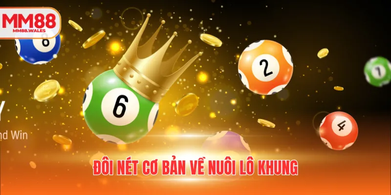 Đôi nét cơ bản về nuôi lô khung