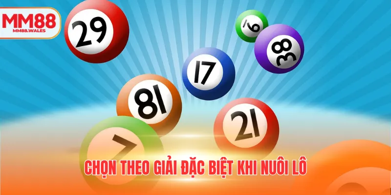 Chọn theo giải đặc biệt khi nuôi lô