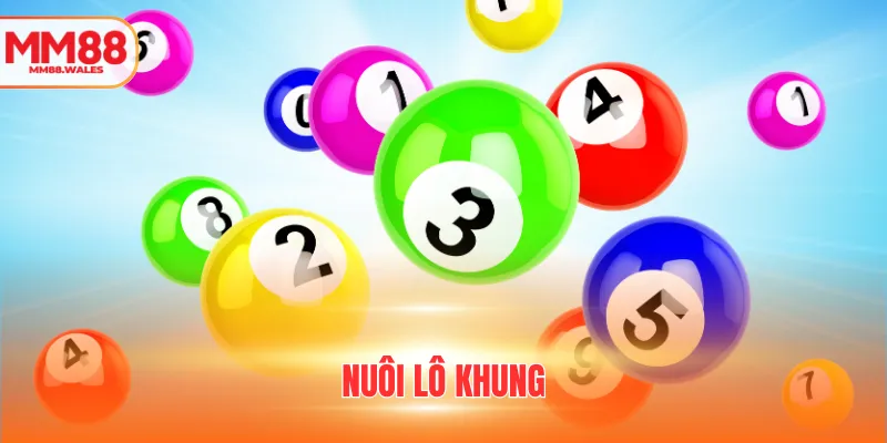 nuôi lô khung