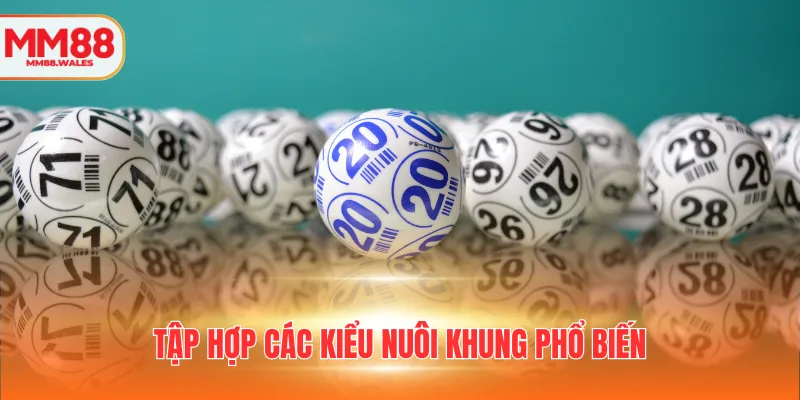 Tập hợp các kiểu nuôi khung phổ biến