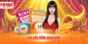 soi cầu rồng bạch kim