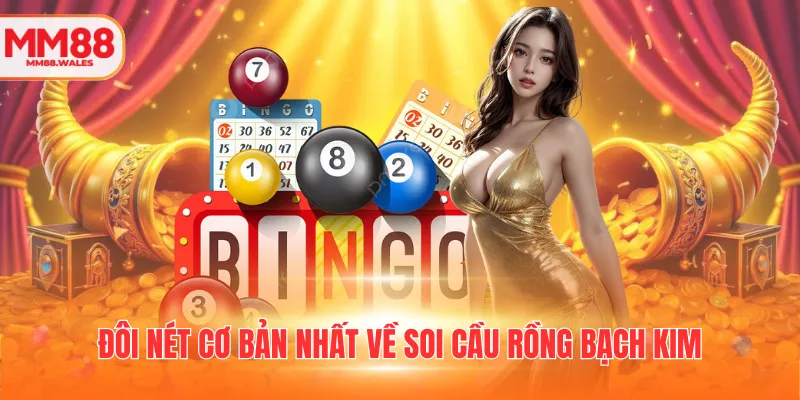 Đôi nét cơ bản nhất về soi cầu Rồng Bạch Kim